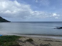 本日の海峡画像