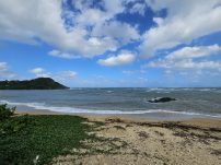 本日の海峡画像