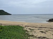 本日の海峡画像