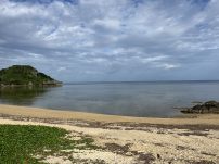 本日の海峡画像