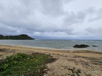 本日の海峡画像